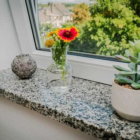 Love * 蒙多夫莱班